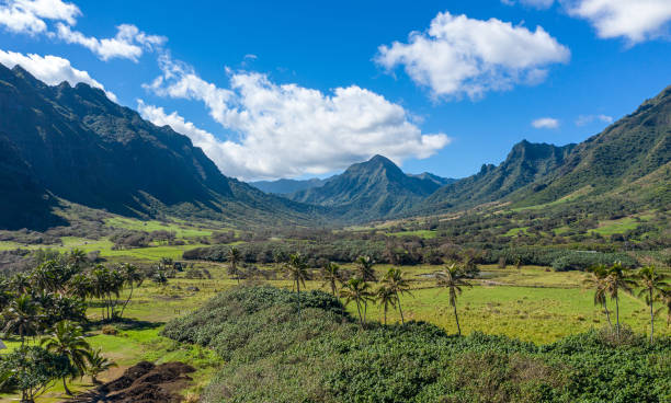 Panorama of Kaaawa valley with mountains in the background Panorama of the Kualoa or Ka'a'awa valley near Kaneohe on Oahu used in jurassic films jurassic photos stock pictures, royalty-free photos & images