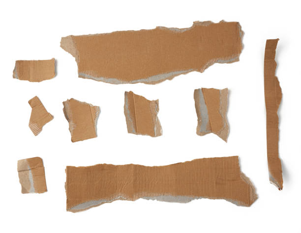 istock pieces of cardboard corrugated paper torn edges on a white background 1204041119