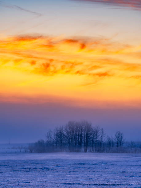 sunrise at prairie in winter, alberta, canada.