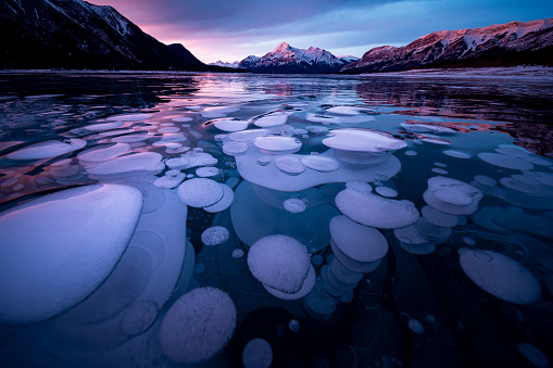 ice bubble and sunrise at Abraham Lake, alberta, canada.