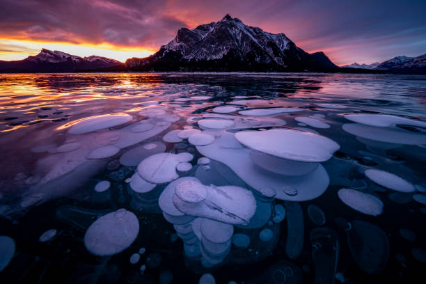 istock ice bubble and sunrise at Abraham Lake 1204042528