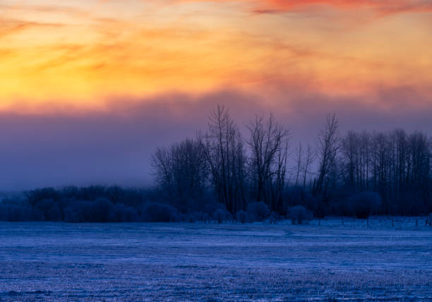 baum gefroren schnee sonnenaufgang - prairie farm winter snow stock-fotos und bilder