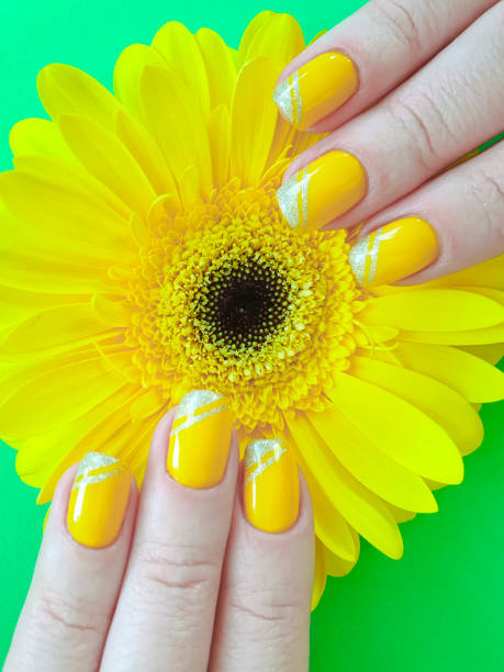 istock female hands manicure gerbera flower on a colored background 1204042878