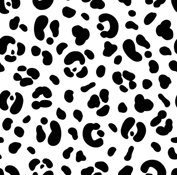 Seamless Black And White Color Leopard Print Stock Illustration - Download  Image Now - Leopard Print, Black And White, Illustration - iStock