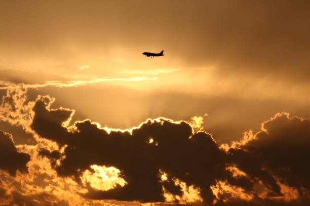 istock Airplane getting ready to land during sunset 1204046110