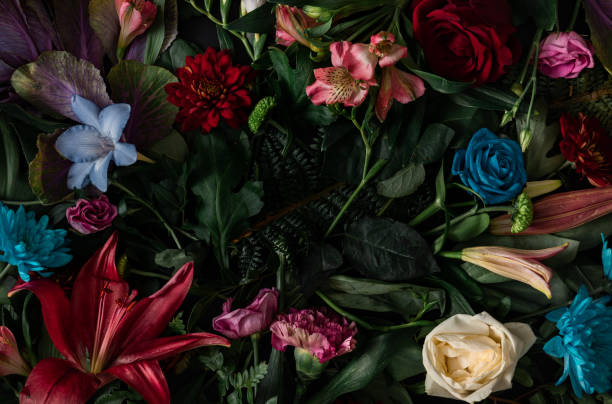 istock Creative layout made of flowers and leaves. Flat lay. 1204046265