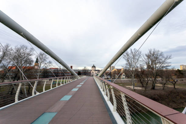 istock Tiszavirag Bridge in Szolnok, Hungary 1204048281
