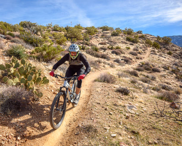 istock Desert Mountian Bike Ride 1204048383
