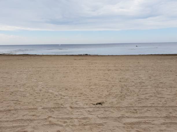 istock Baltic sea landscape 1204049783