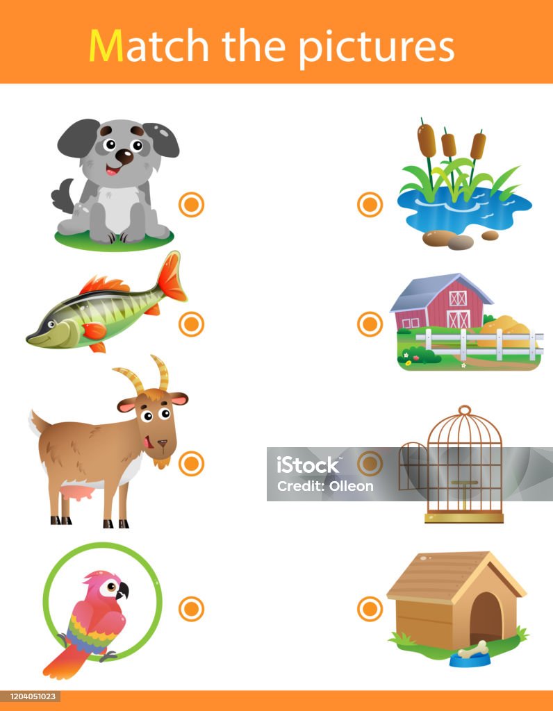 Matching Game Education Game For Children Puzzle For Kids Match The Right  Object Cartoon Animals With Their Homes Dog Fish Goat Parrot Stock  Illustration - Download Image Now - iStock