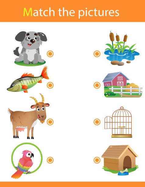 Matching Game Education Game For Children Puzzle For Kids Match The Right  Object Cartoon Animals With Their Homes Dog Fish Goat Parrot Stock  Illustration - Download Image Now - iStock