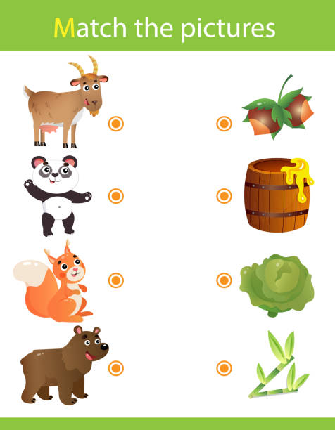 Matching Game Education Game For Children Puzzle For Kids Match The Right  Object Cartoon Animals And Their Favorite Food Goat Panda Squirrel Bear  Stock Illustration - Download Image Now - iStock
