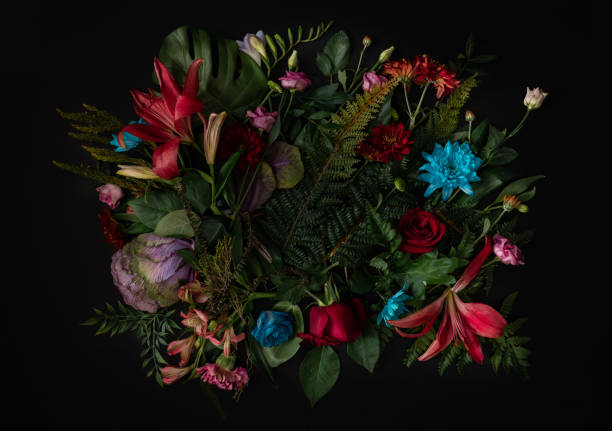 Creative layout made of flowers and leaves.