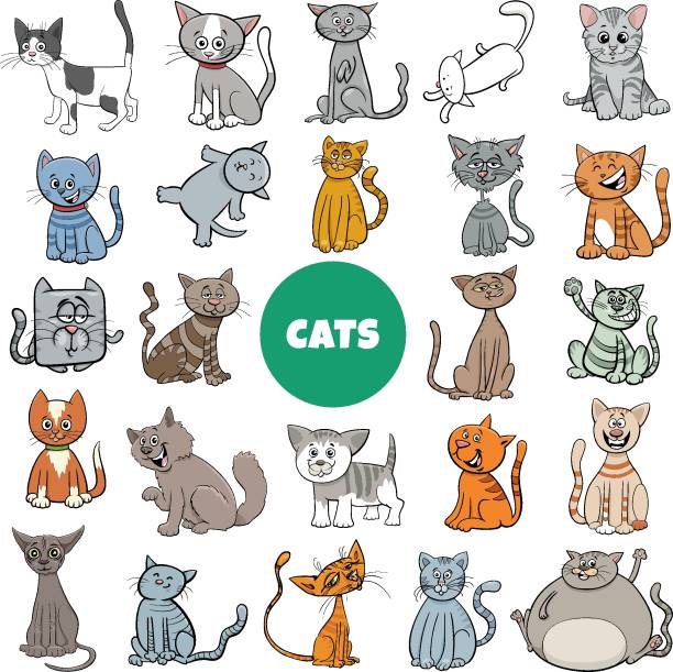 illustrations, cliparts, dessins animés et icônes de chat de dessin animé et chatons caractères grand ensemble - comic book animal pets kitten