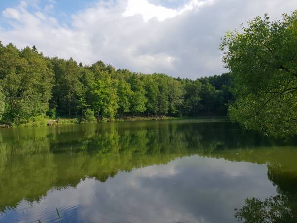 istock Park landscape in Russia 1204054512
