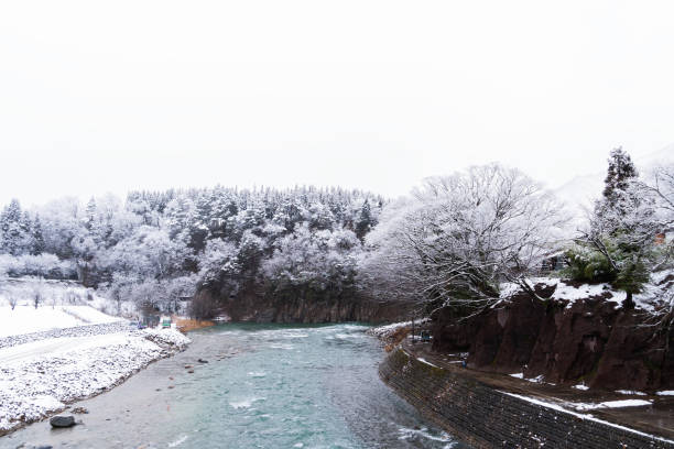 雪に覆われた霜山の間には川が流れている。白川郷ヴィンテージ日本の村の素晴らしい雪冬の風景山、森の木の氷霜の中の日本の世界寒い冬 - snow leaf branch winter ストックフォトと画像