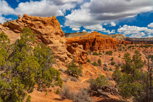 istock Colored Sanstone at Kodachrome Basin 1204055606