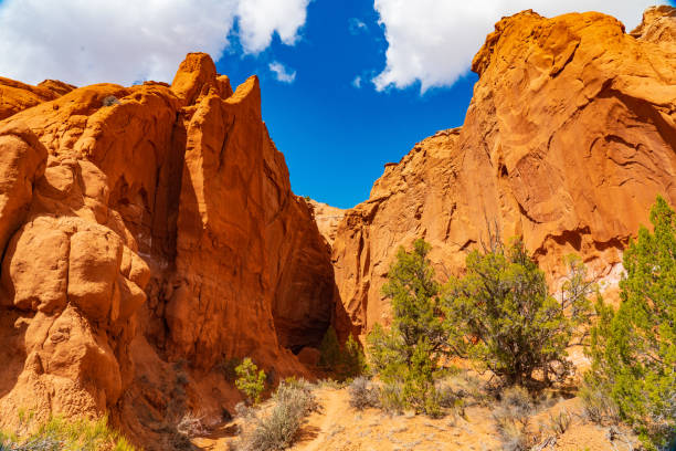 istock Sheer Sandstone Walls in Kodachrome Basin 1204055941