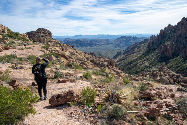 istock Lone woman hikes in desert landscape. 1204057030