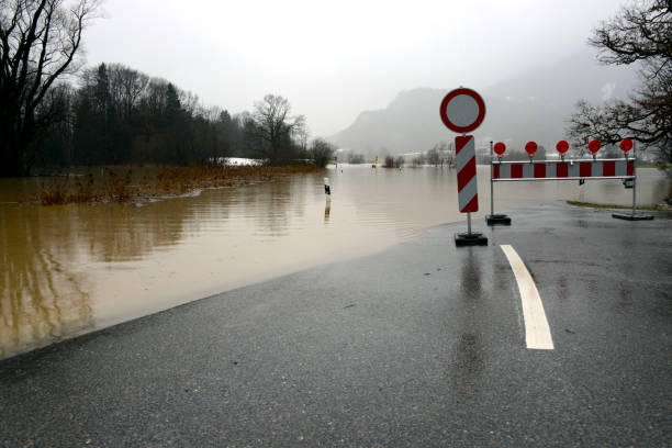 istock flooded landscape in winter 1204060393