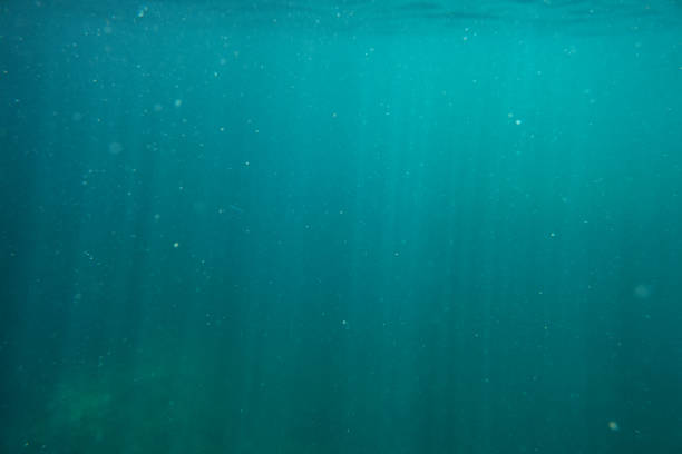 istock Abstract under sea water background with the marine plankton. 1204063679