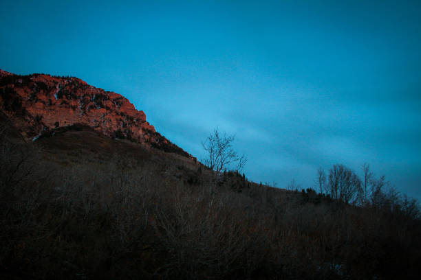 lone tree am squaw peak - squaw peak stock-fotos und bilder