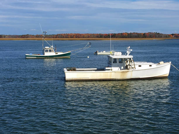 istock Fishing boats in the bay 1204069377