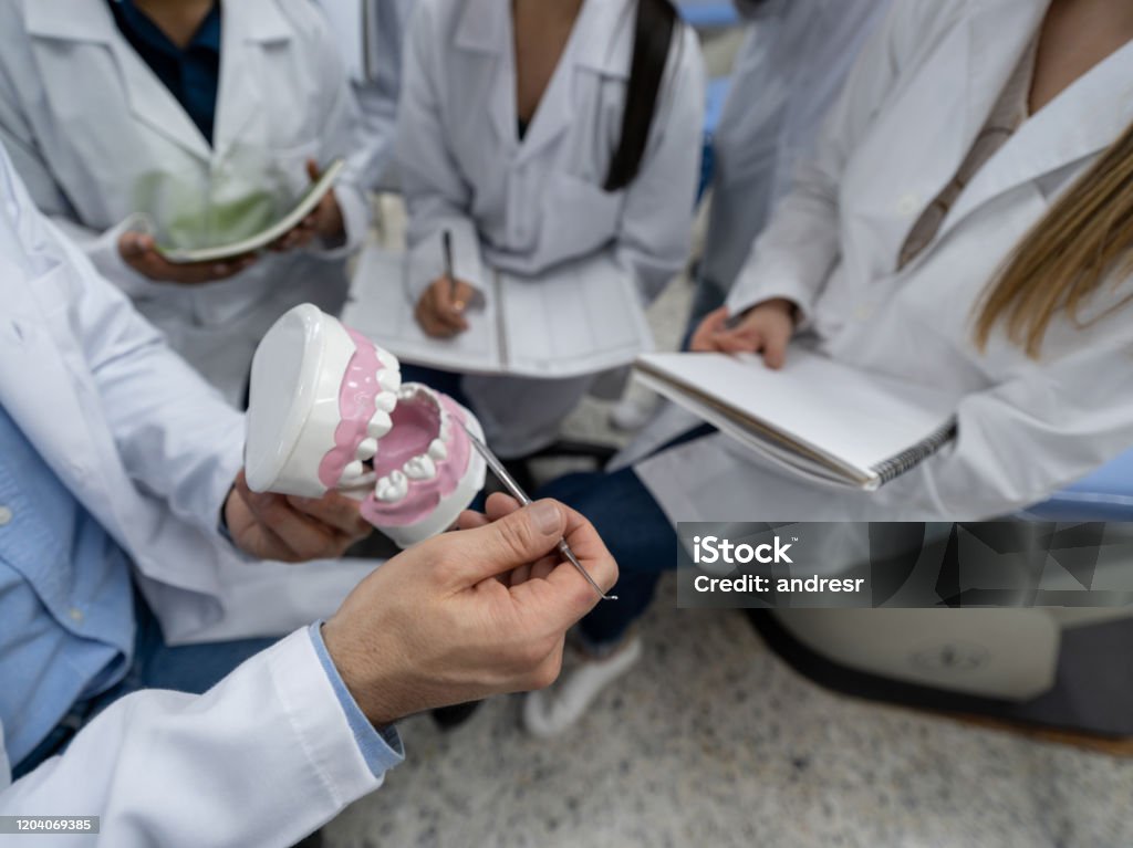 Students looking at dental prothesis at university Close-up on a group of students looking at dental prothesis in class at the university - education concepts Dentist Stock Photo