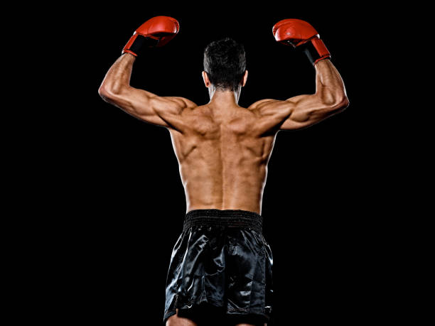 istock caucasian young boxer boxing man back rear view isolated black background 1204073167