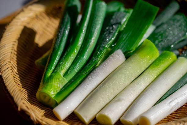 istock Japanese fresh green scallion. 1204074340