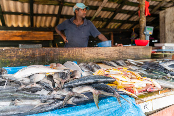 istock Man selling fish at small local fish market 1204082782