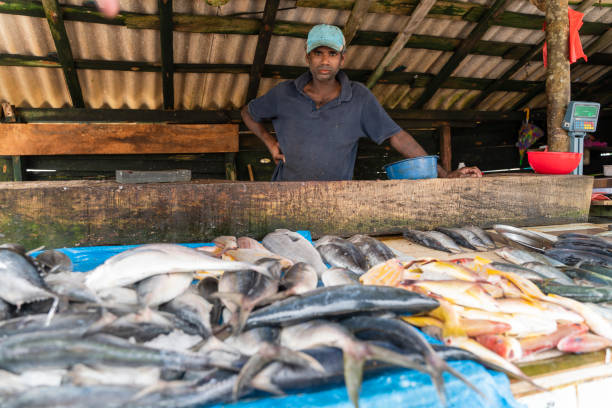 istock Man selling fish at small local fish market 1204082783
