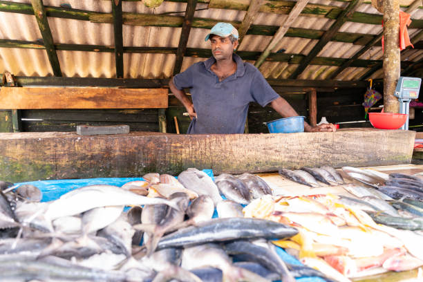 istock Man selling fish at small local fish market 1204082786