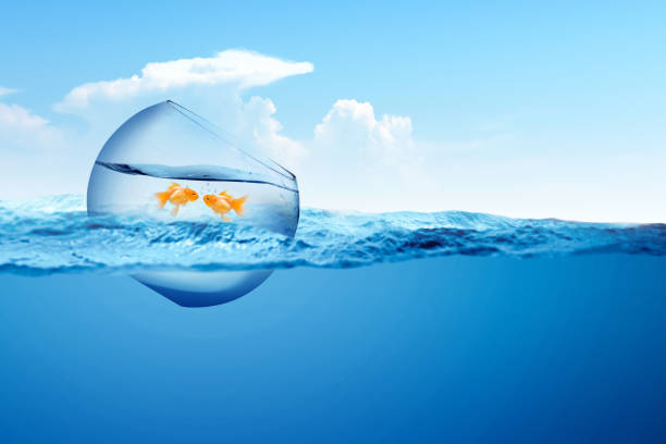 istock Fishbowl with goldfish floating on the ocean 1204082928
