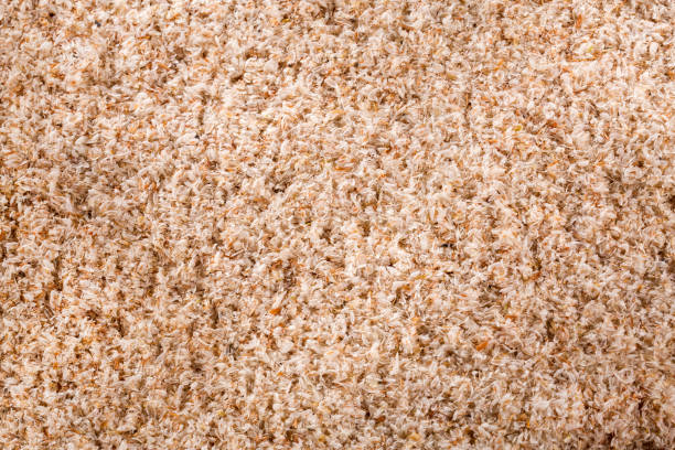 istock Plantago afra - Organic psyllium husk 1204084454