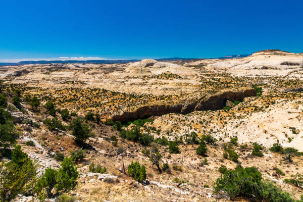 istock Grand Staircase-Escalante National Monument 1204084477