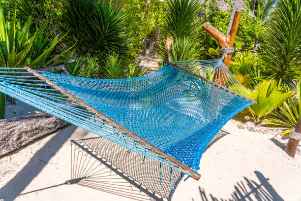 istock Hammock hanging between palm trees at the sandy beach and sea coast 1204084562