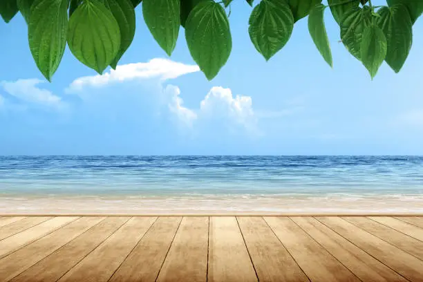Wooden floor with oceanview and green tropical leaf with a blue sky background