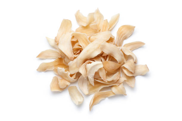 istock Pile of dried lily bulbs 1204084641
