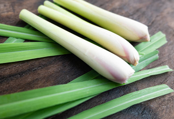 istock Close up Fresh green lemongrass on dark cutting board. 1204084708