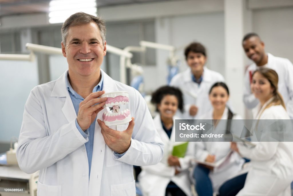 Portrait of a teacher at dental school holding a prothesis and smiling Portrait of a teacher at dental school holding a prothesis and looking at the camera smiling Achievement Stock Photo