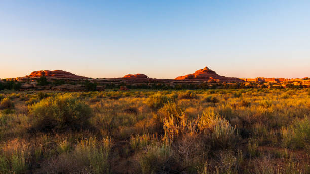 istock Sunrise in Canyonlands National Park 1204090714