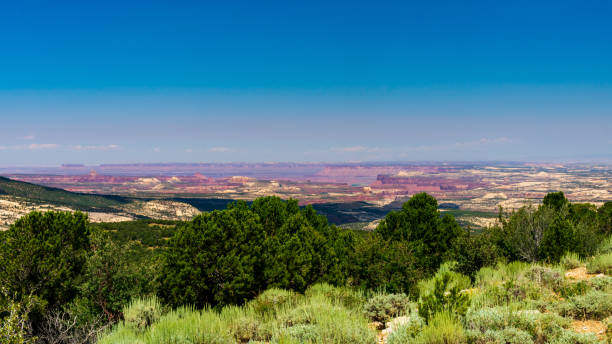 istock Manti-La Sal National Forest 1204092957