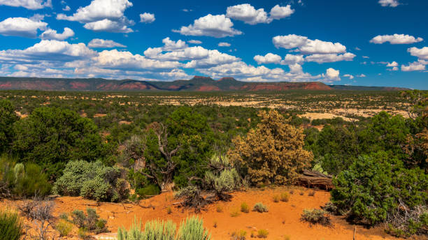 istock Bears Ears as Seen From Natural Bridges National Monument, Utah 1204093210