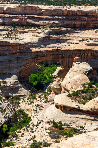 istock Natural Bridges National Monument, Utah 1204093449