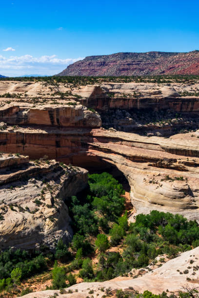 istock Natural Bridges National Monument, Utah 1204093864