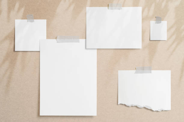 istock Moodboard template composition with blank photo cards, torn paper, square frame glued with adhesive tape on light paper background with floral overlay shadows as template for graphic designers presentations, portfolios etc. 1204094176