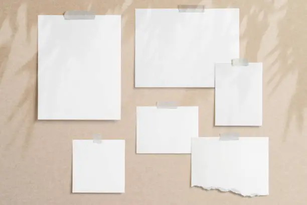 Moodboard template composition with blank photo cards, torn paper, square frame glued with adhesive tape on light paper background with floral overlay shadows as template for graphic designers presentations, portfolios etc.