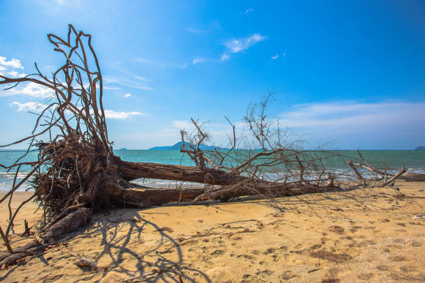 istock USA, Atmospheric Mood, Awe, Backgrounds, Beach 1204096288