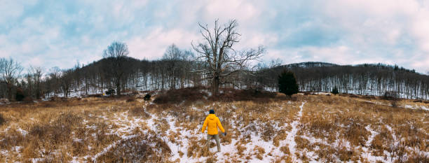 Man with yellow jacket in an epic landscape with a tree on a cloudy day
